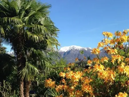 Casa Elena, Maison 4 personnes à Locarno Tegna - Photo 13
