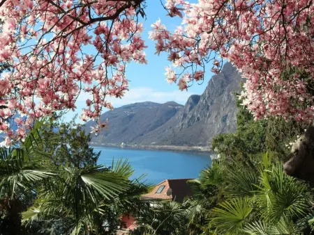 Location appartement à Lugano, Garten-Wohnung