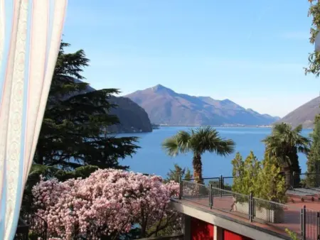 Location appartement à Lugano, Olive