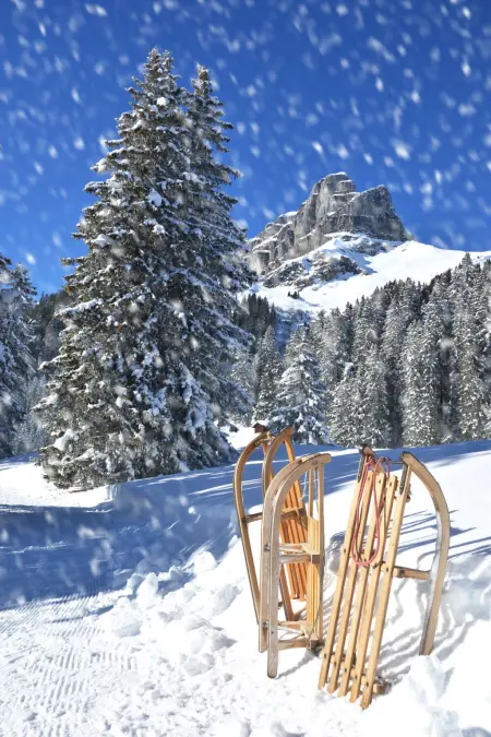 The Holiday Home Davos, Location Maison 5 personnes à Davos - Photo 22