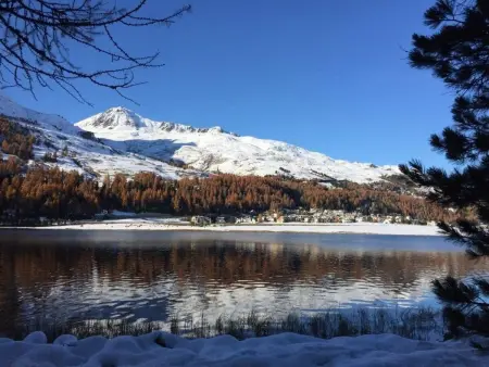 Location appartement à La Punt Chamues ch, Chesa Arnica A5