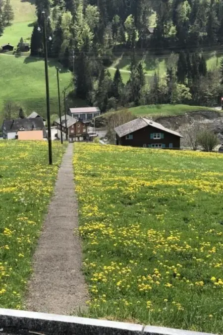 Neuer Sigerst, Maison 6 personnes à Wildhaus - Photo 22
