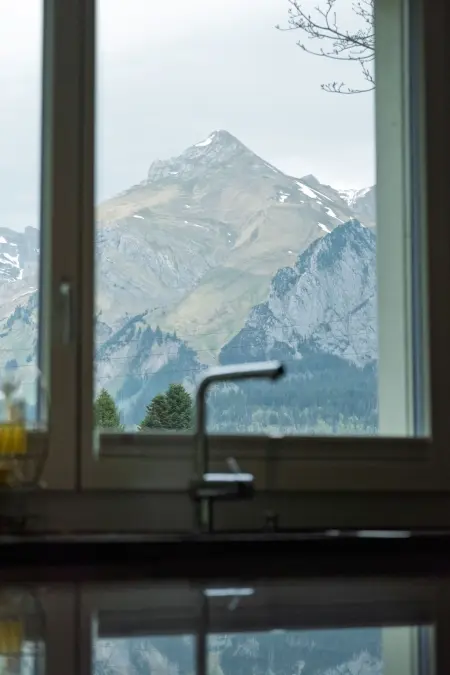 Haus am Schwendisee, Maison 8 personnes à Wildhaus - Photo 4