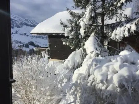 Toggi, Maison 4 personnes à Wildhaus - Photo 31