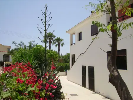 Location appartement à Agios Georgios Pegeias, Kissonerga Apartment