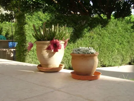 Appartement avec balcon et piscine à Agios Georgios Pegeias : photo 25