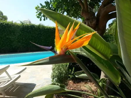 Appartement avec balcon et piscine à Agios Georgios Pegeias : photo 27