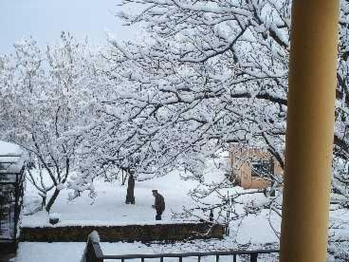 Appartement 70 m² La Vall de Bianya, terrasse et piscine - Photo 6