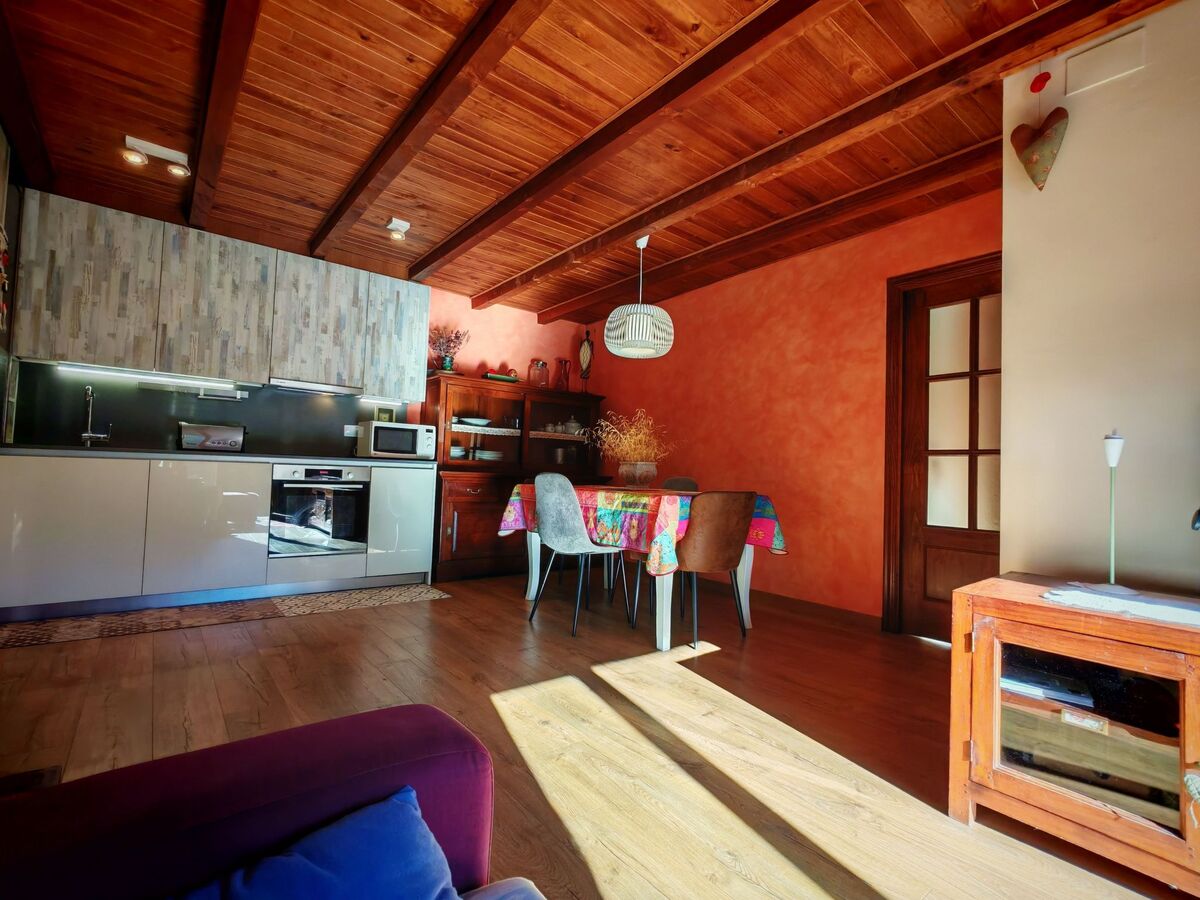 Appartement avec jardin privé et cheminée à Taüll, Pyrénées - Photo 38