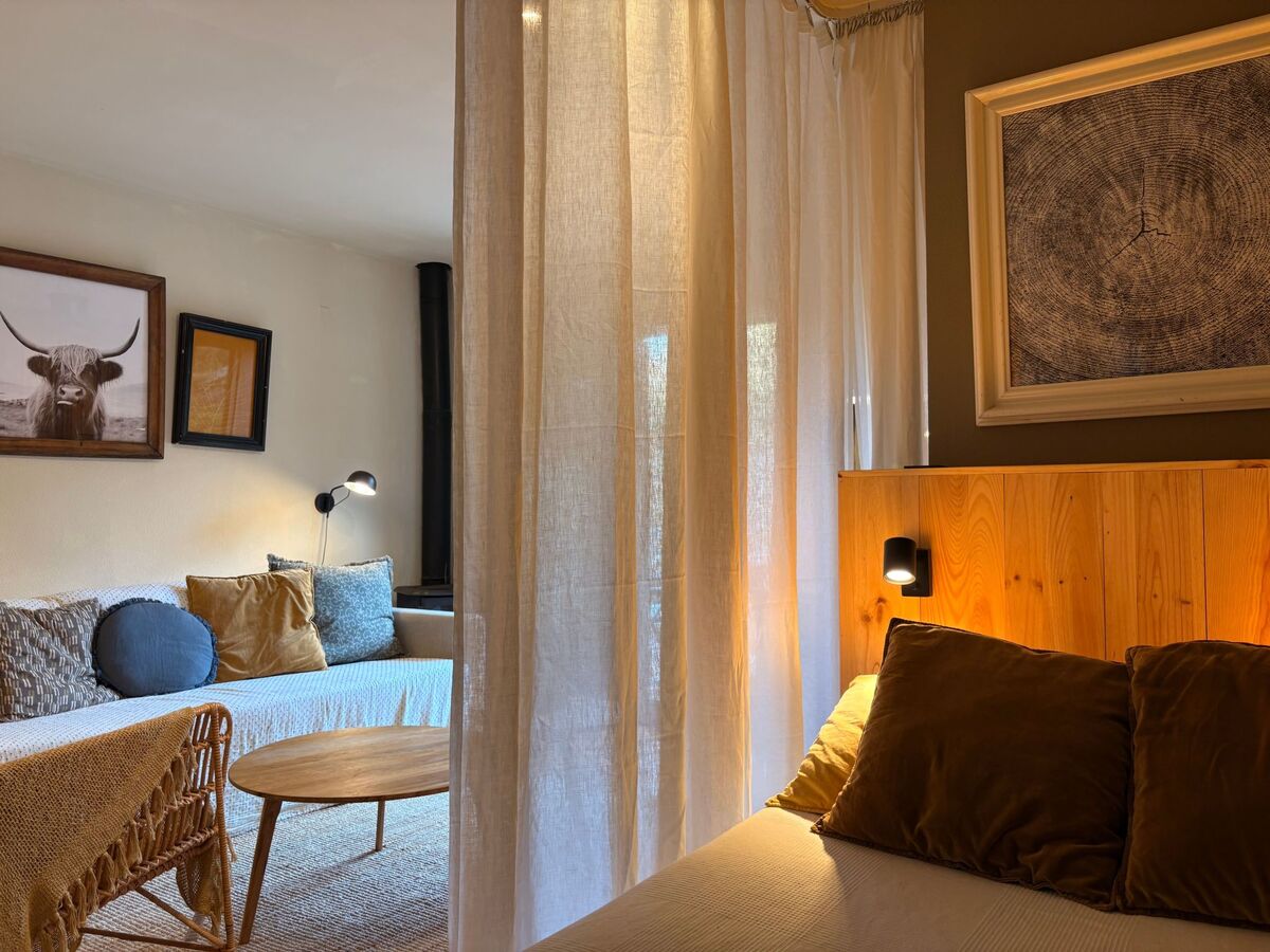 Studio avec terrasse privée à Taüll, Pyrénées espagnoles - Photo 11