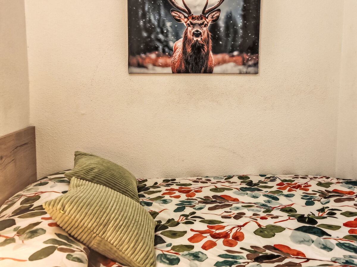 Studio rustique à Taüll, Pyrénées – animaux bienvenus - Photo 6