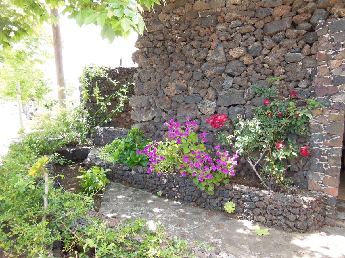 Maison Aborigen Bimbache – Lava et pierres à San Andres - Photo 27