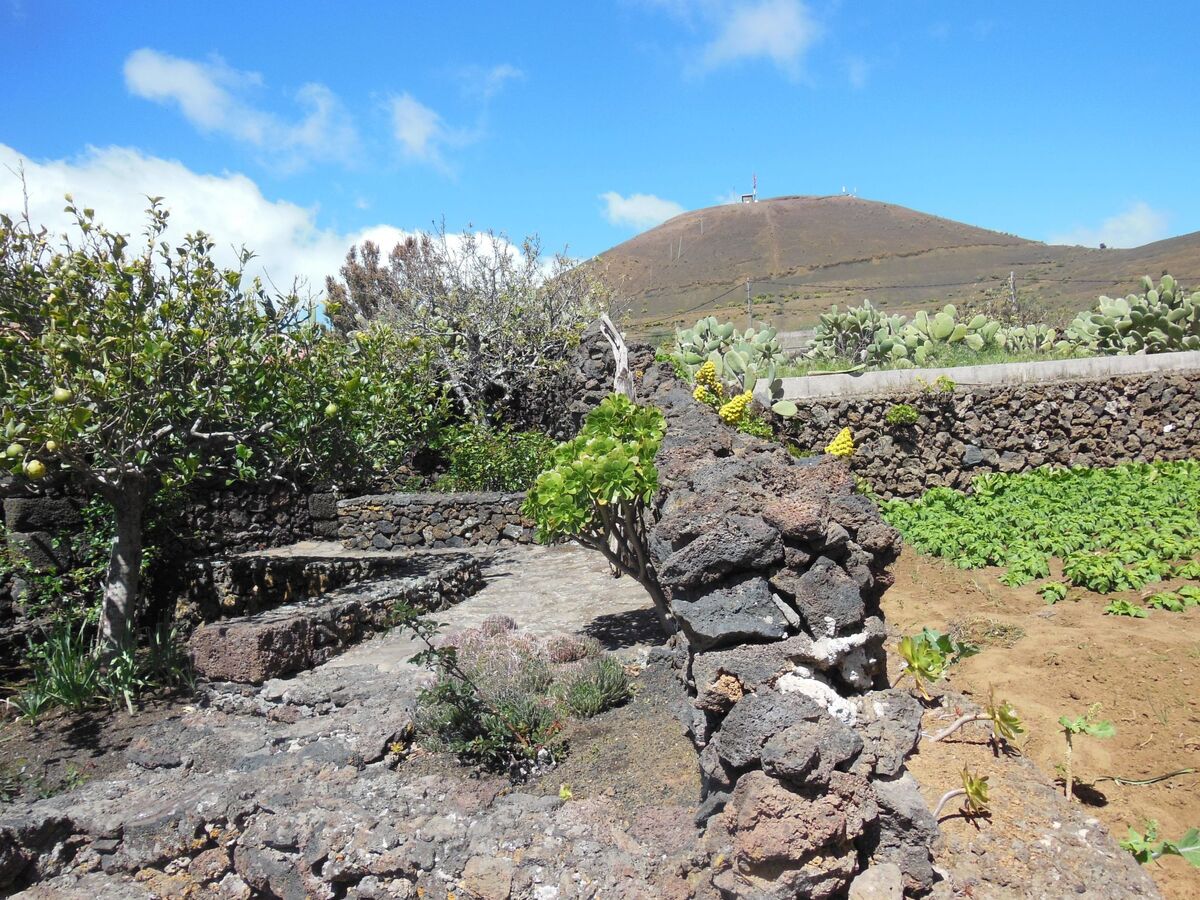 Maison Aborigen Bimbache – Lava et pierres à San Andres - Photo 40