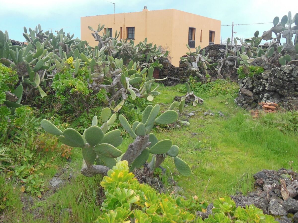 Maison Aborigen Bimbache – Lava et pierres à San Andres - Photo 50