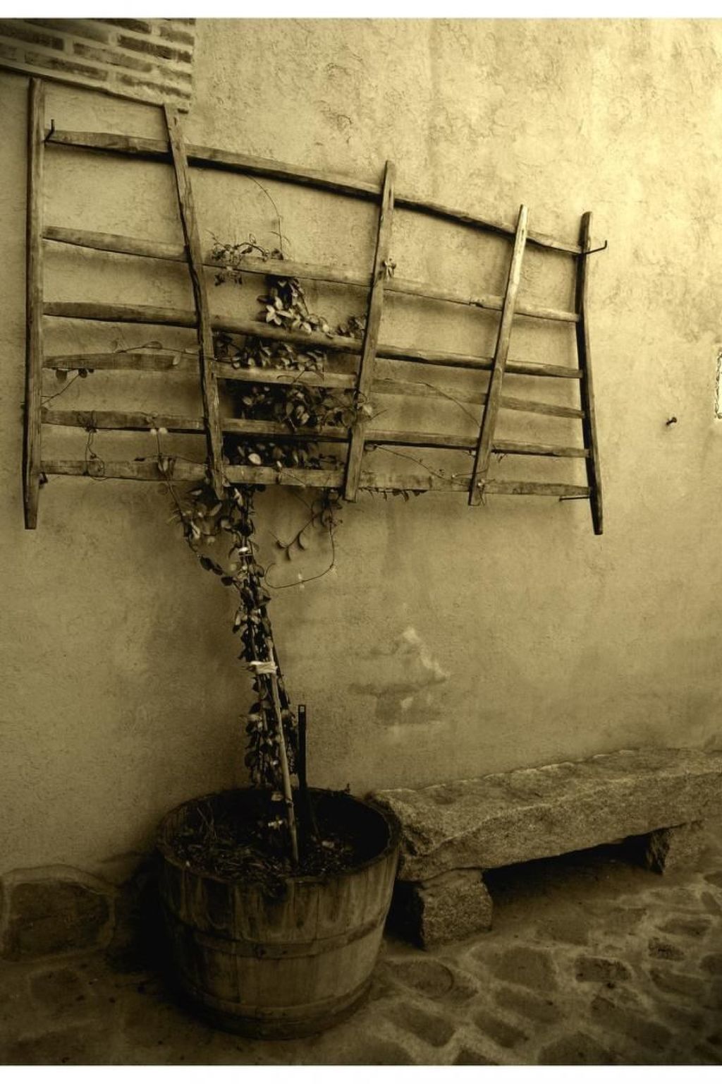 Maison rurale Callejón del Pozo II, 11 pers., piscine - Photo 5