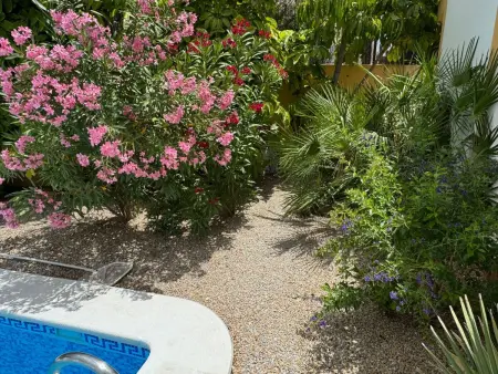 Casa Maravilla – Maison avec tour et piscine privée à Mazarron : photo 53