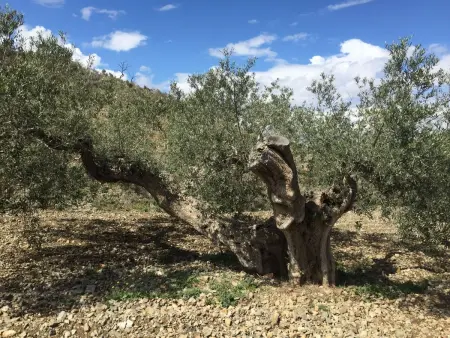 Casa Maravilla – Maison avec tour et piscine privée à Mazarron : photo 58