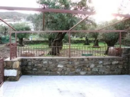 Appartement Tía Antonia, terrasse et oliviers : photo 2