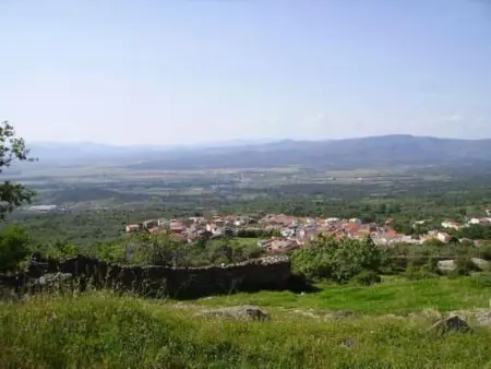 Casa Rural Picual : maison 3 chambres à Casas del Monte : photo 23