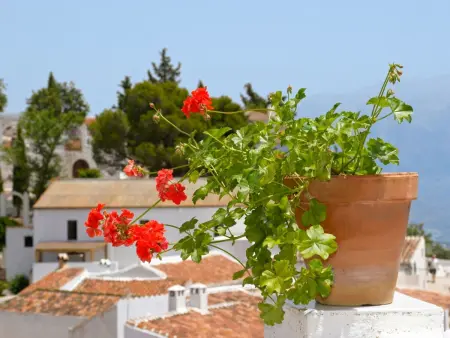 mit Terrasse, Maison 4 personnes à Comares - Photo 33
