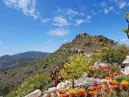 Ein Traumurlaub im Herzen von Andalusien., Maison 7 personnes à Comares - Photo 4