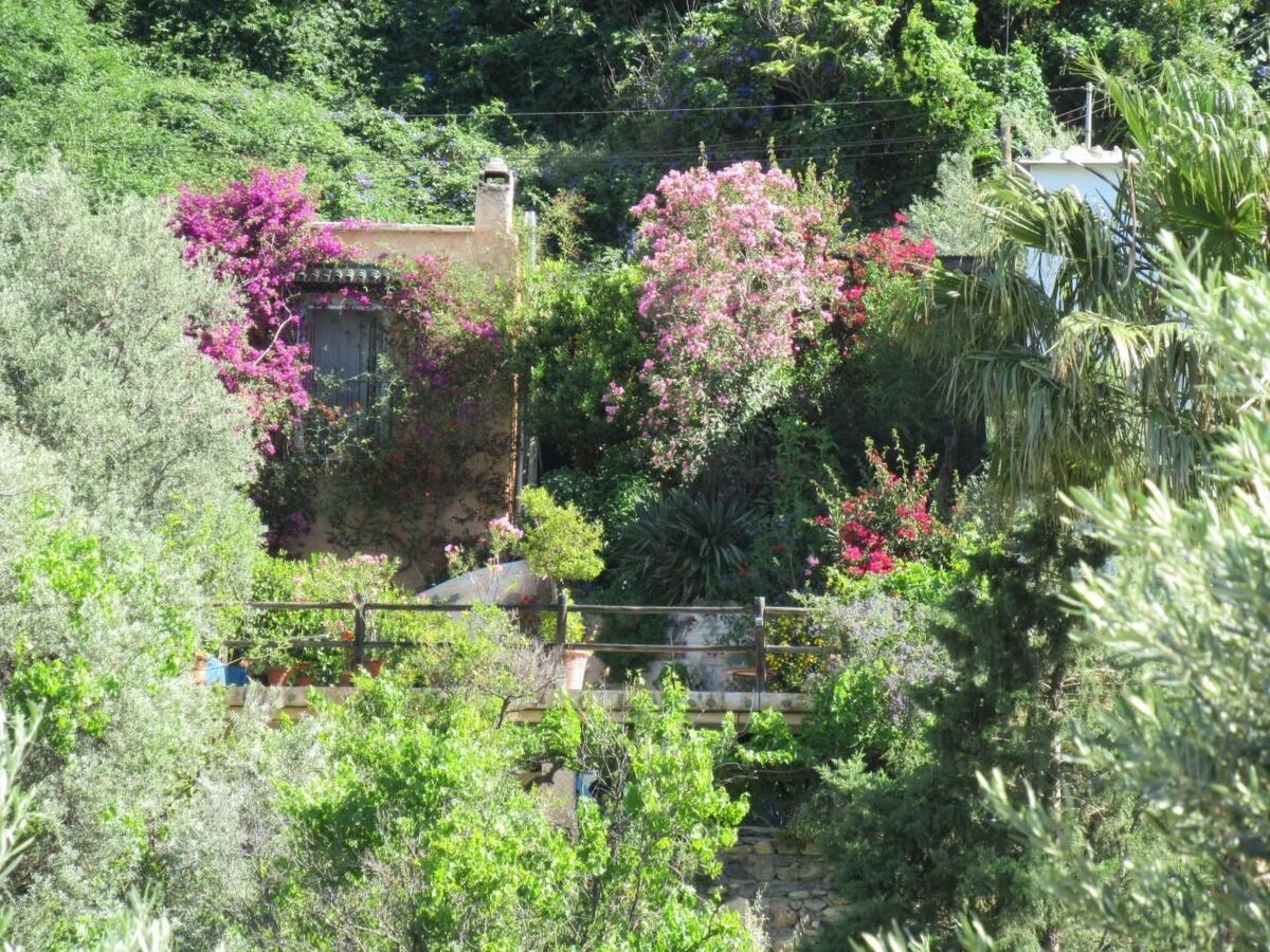 Maison rurale avec piscine privée à Orgiva - Photo 1