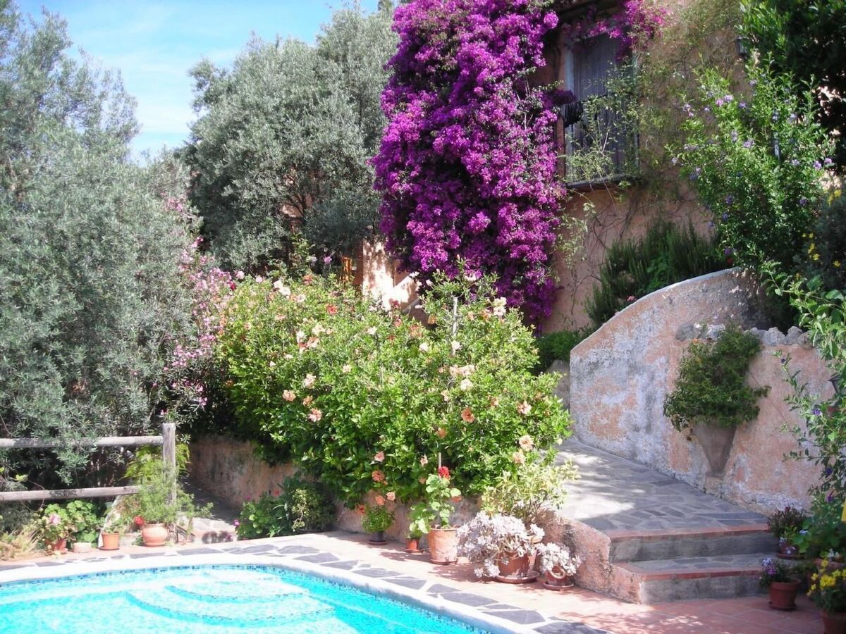 Maison rurale avec piscine privée à Orgiva - Photo 3