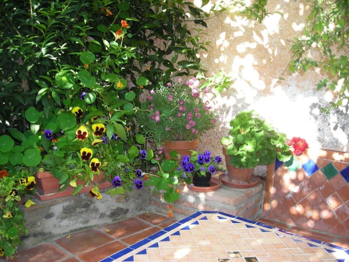 Maison rurale avec piscine privée à Orgiva - Photo 14