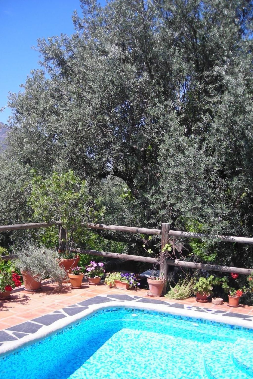 Maison rurale avec piscine privée à Orgiva - Photo 20