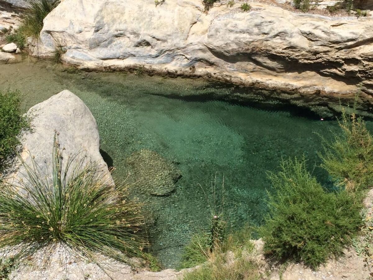 Maison rurale avec piscine privée à Orgiva - Photo 28