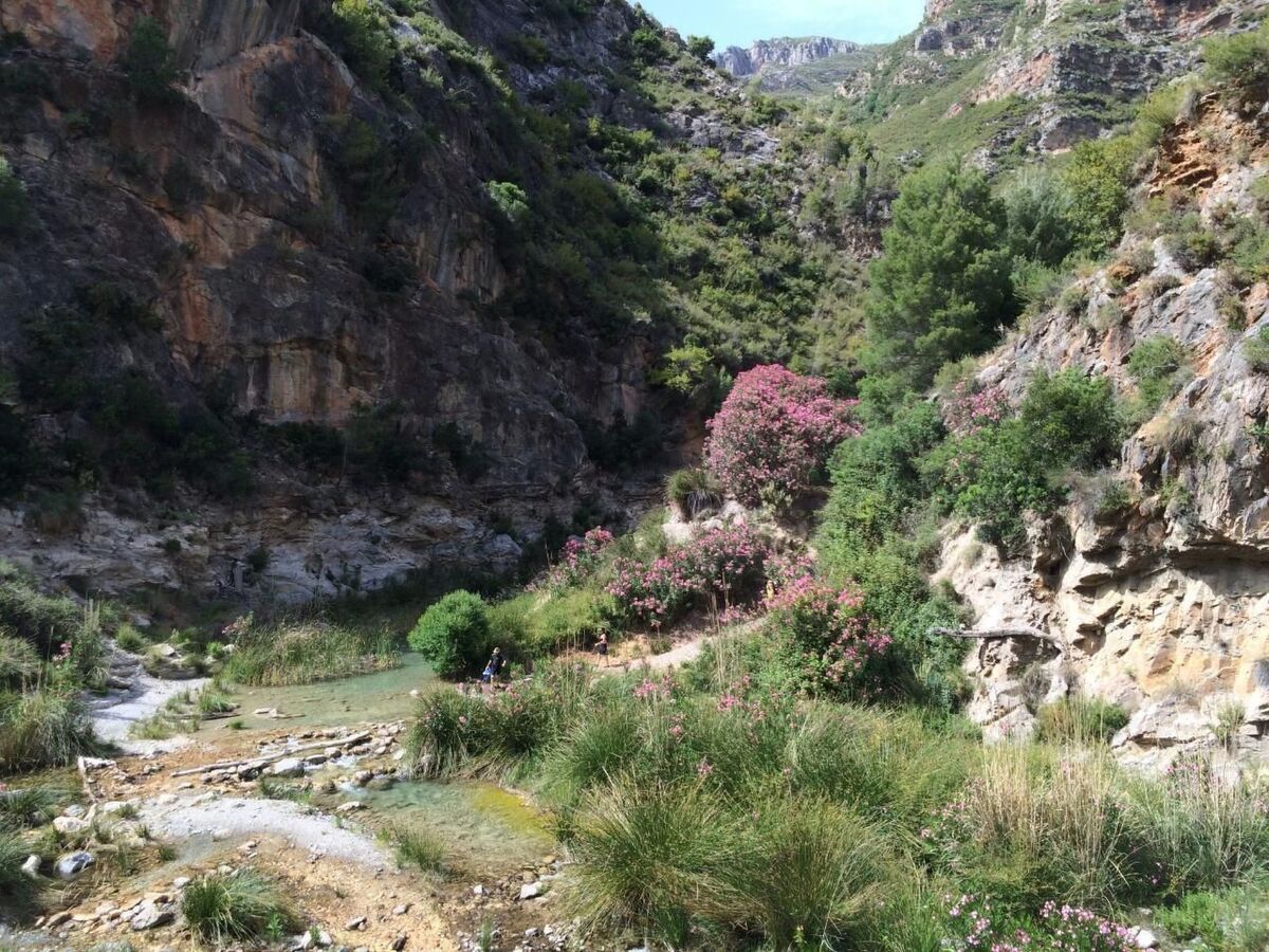 El Garzopo : maison 8 pers. avec piscine chauffée - Photo 37