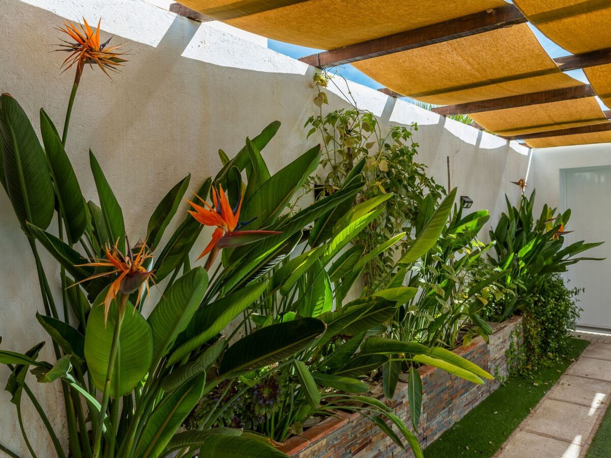 Chalet Casita de Madera – vue Sierras Subbéticas, piscine privée - Photo 16