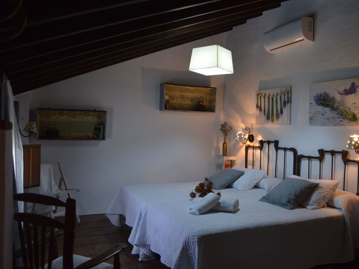 Casa Vieja : maison rurale 8 pers., forêt de chênes - Photo 40
