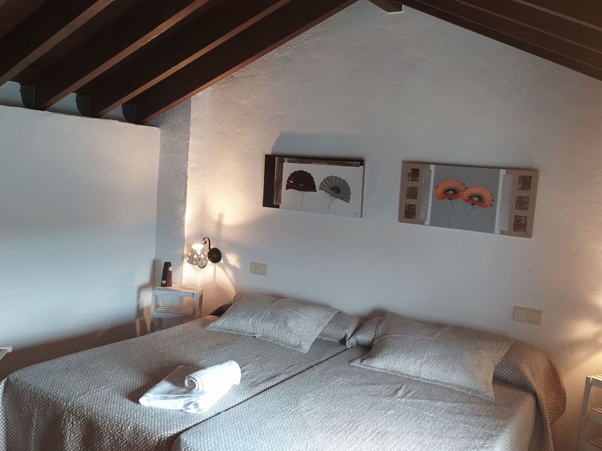 Casa Vieja : maison rurale 8 pers., forêt de chênes - Photo 46