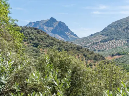 Cerro de la Cruz,charmantes Bauernhaus mit bester Aussicht,im Zentrum Andalusie - Photo 56