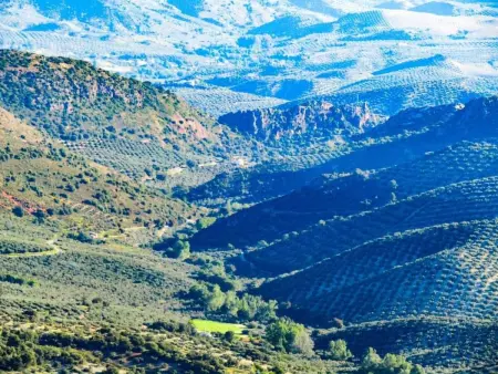 Cerro de la Cruz,charmantes Bauernhaus mit bester Aussicht,im Zentrum Andalusie - Photo 70