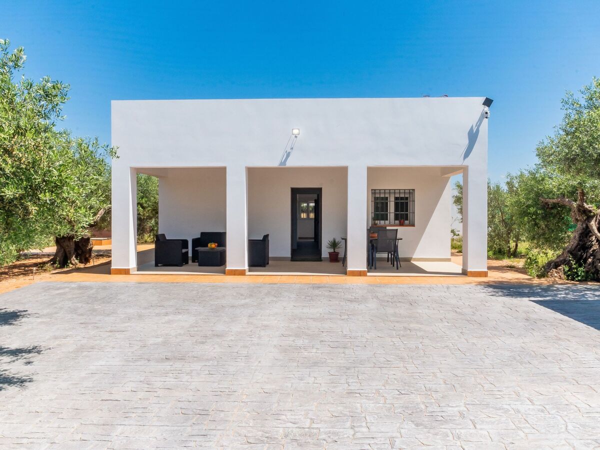 Olivera Country Cottage – maison éco, piscine privée près de Séville - Photo 4