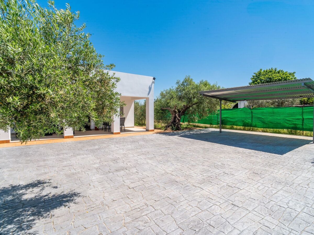 Olivera Country Cottage – maison éco, piscine privée près de Séville - Photo 43