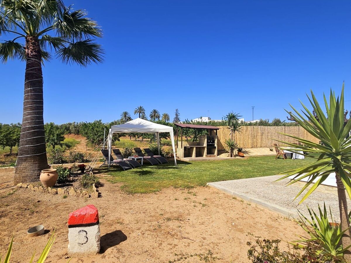 Maison Limones – piscine 9x6 m, campagne de Séville - Photo 32