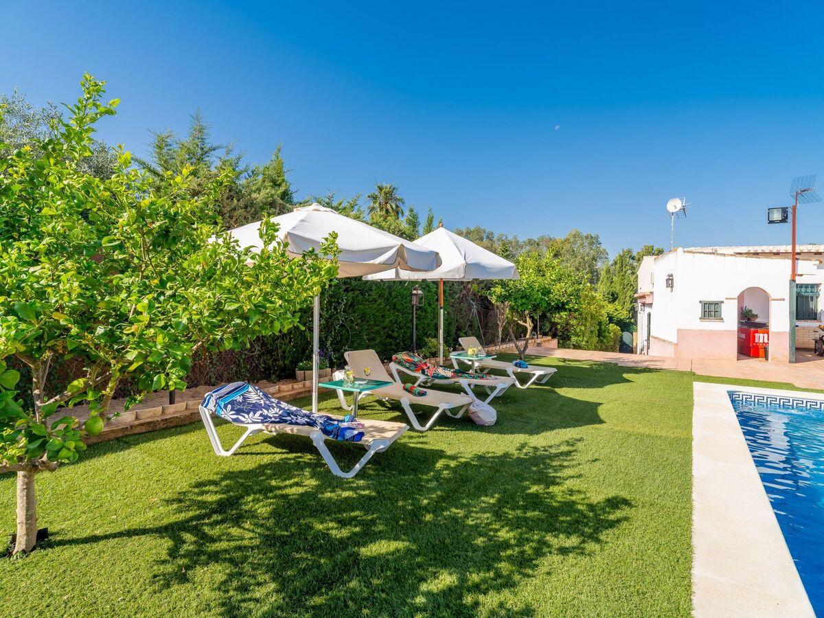 Maison Casa Rural Carmo à Carmona, piscine 9x4 m - Photo 48