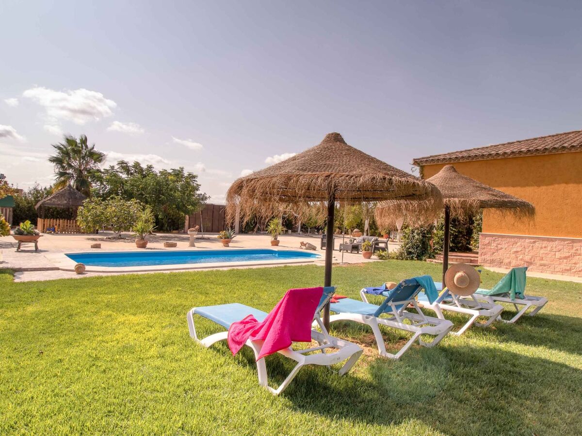 Villa Lucrecia Landhaus – Maison avec piscine privée 9x4 m, campagne sévillane - Photo 5