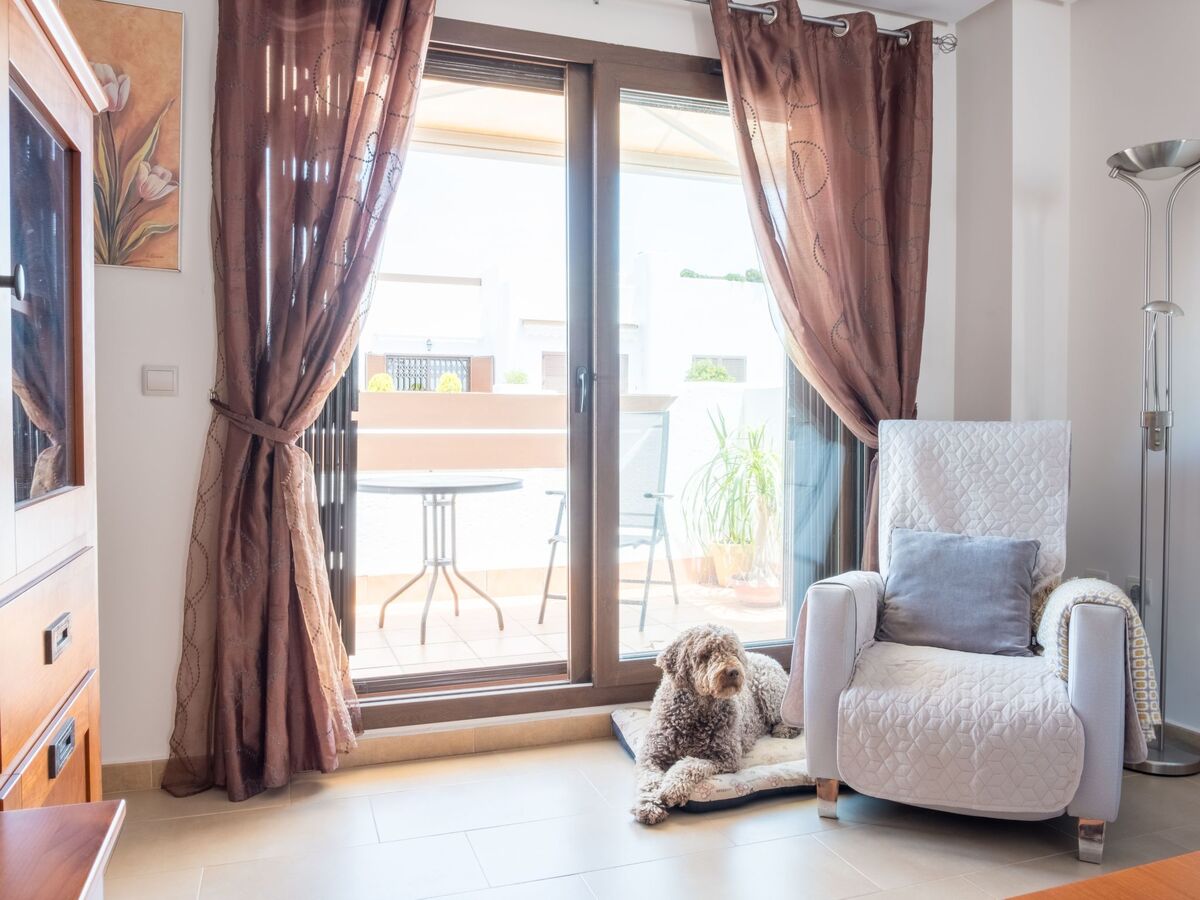 Appartement 4 pers. avec solarium 60m² à San Juan Terreros - Photo 39