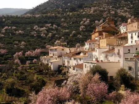 Tenguerengue, Maison 4 personnes à Laroya - Photo 11