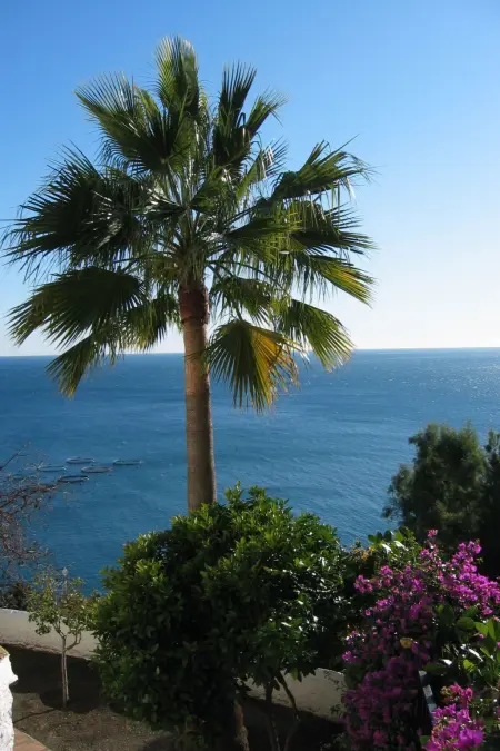 Casa Lobo, villa Salobreña avec piscine chauffée : photo 17