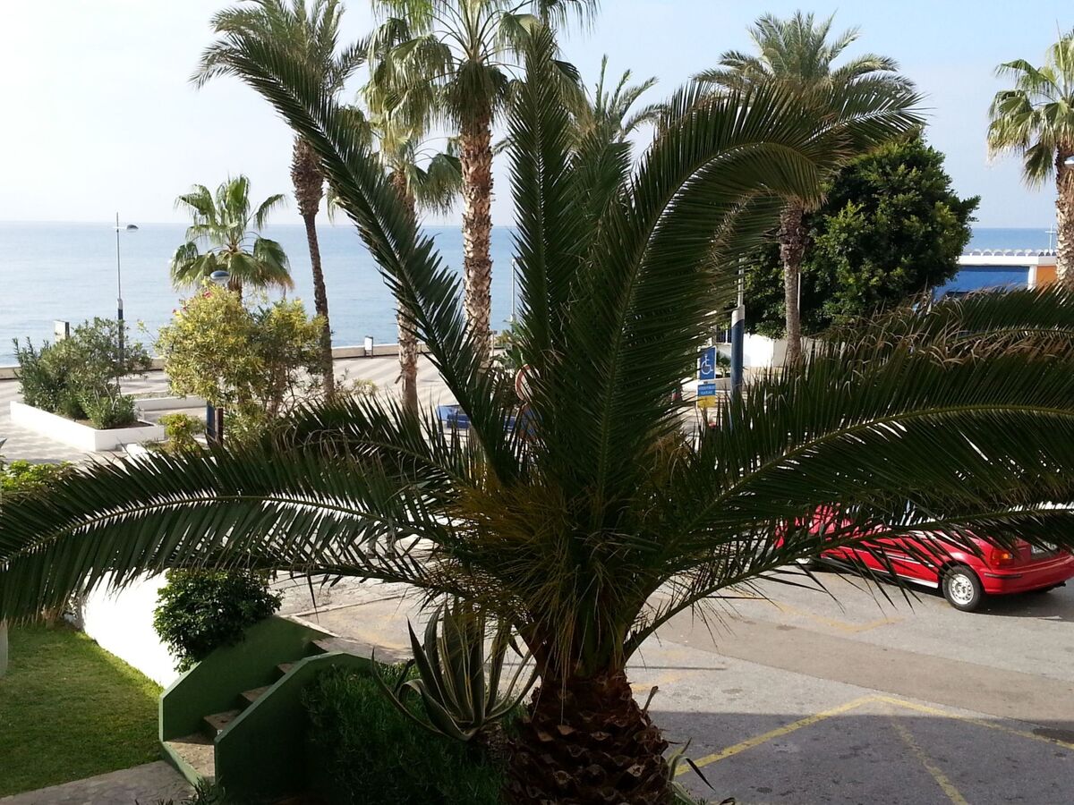 Appartement de plain-pied à Torrox Costa, plage à 50 m - Photo 9