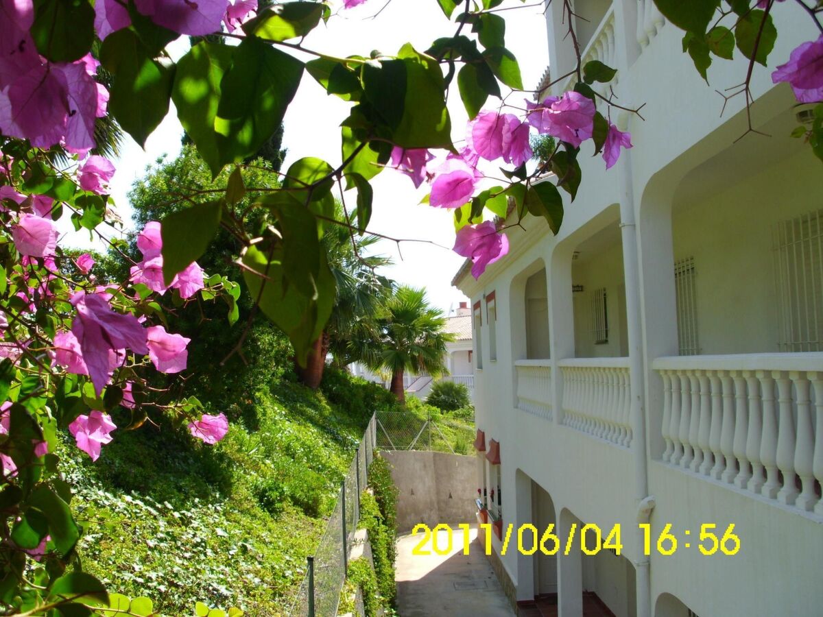 Appartement Casa Angelika – vue mer et montagne à Torrox - Photo 3
