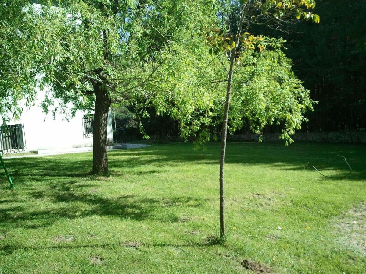 Finca La Vista de Gredos I – Appart 5 pers en forêt - Photo 10
