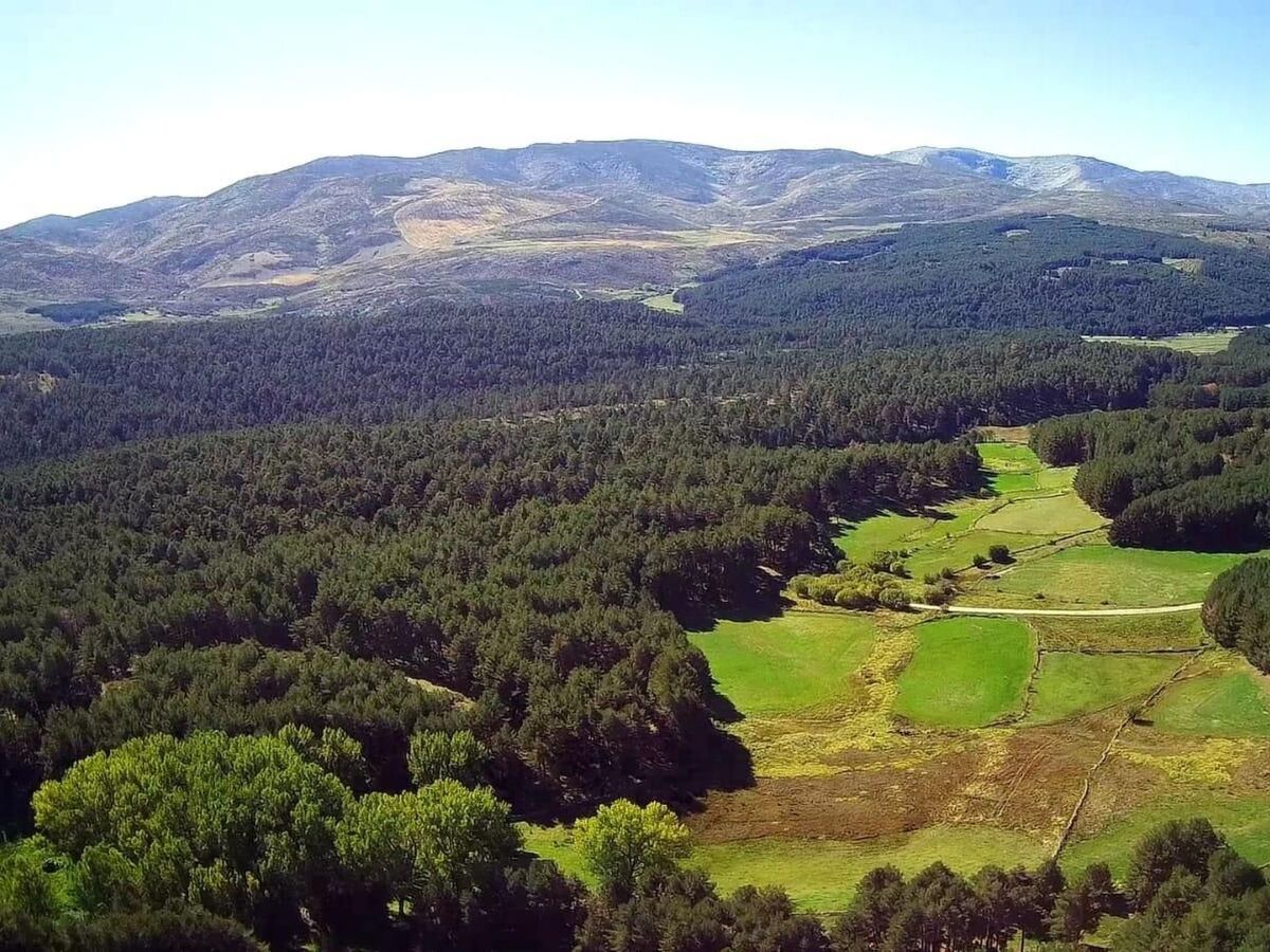 Finca La Vista de Gredos I – Appart 5 pers en forêt - Photo 27