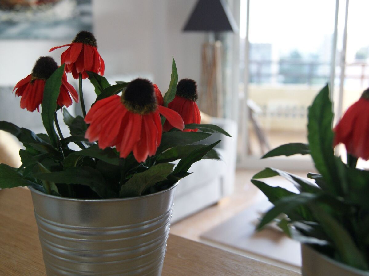 Casa JoCa Duquesa - Apt 4 pers, vue mer et montagnes - Photo 1