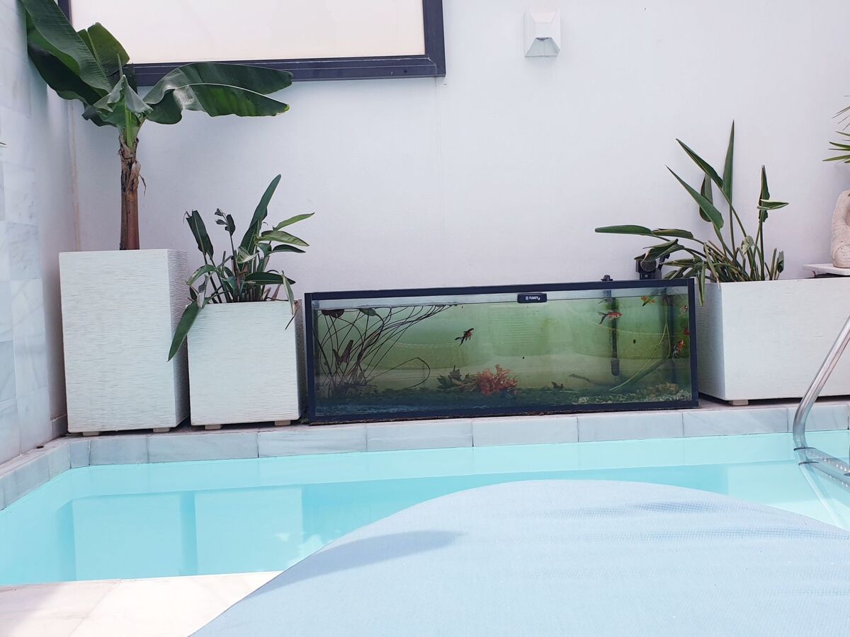 Maison Casa Marysol avec piscine privée à 700 m de la plage - Photo 2